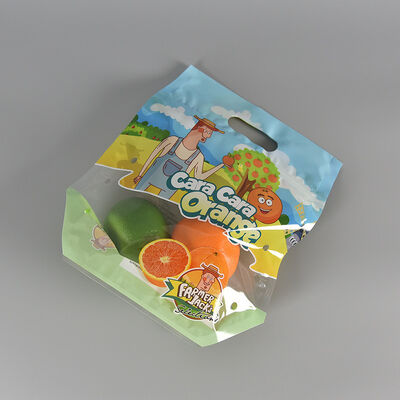 Custom Design Food Grade Plastic Anti-fog Pouch Transparent Fresh Vegetable Fruit Storage Packaging Bag with Zipper Handle